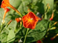 DSCN3256_01
