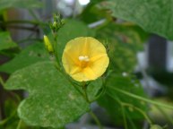 DSCN0015
