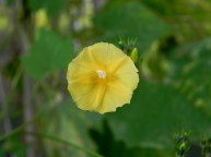 DSCN0095
