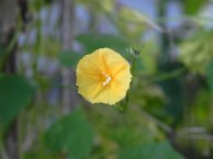 DSCN0296_01