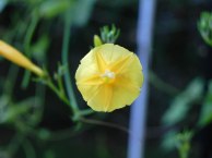 DSCN0298