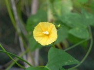DSCN0356