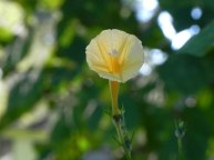 DSCN0560