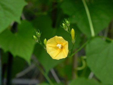 DSCN6350_01