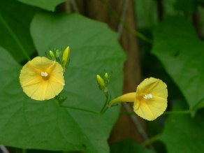 DSCN6567_01