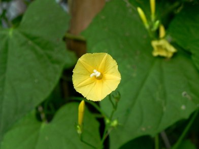 DSCN6821_01