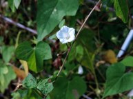 DSCN0140