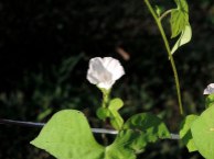 DSCN3272