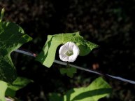 DSCN3382