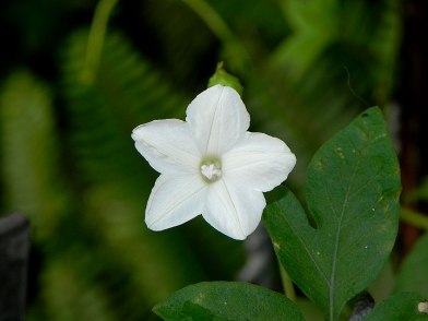 1DSCN9544