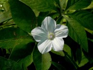 3DSCN5385_01