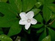 DSCN3848