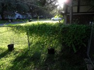 DSCN4129