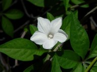 DSCN4275_01