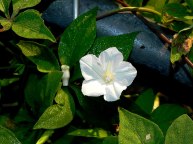 DSCN4811_01