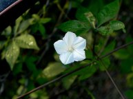 DSCN5064