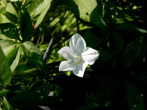 DSCN5384_01