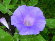 10-DSCN1703