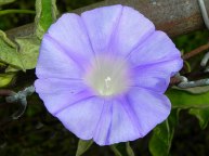 10-DSCN1896