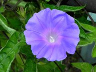 10-DSCN2832