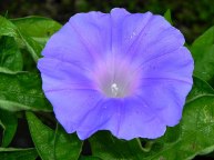 10-DSCN3360