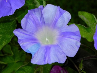 10-DSCN3362