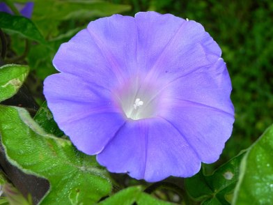 10-DSCN3642