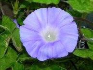 10-DSCN3964