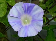 10-DSCN4274_01
