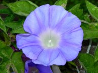 10-DSCN4276_01