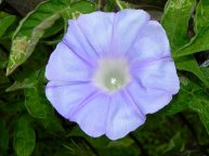10-DSCN4568_01