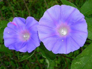 10-DSCN5205