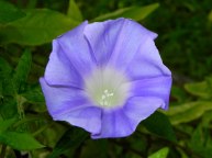 10-DSCN5476