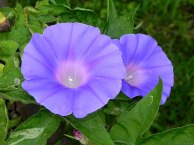 10-DSCN5915