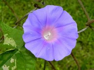 10-DSCN6289