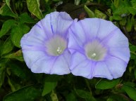 10-DSCN7258