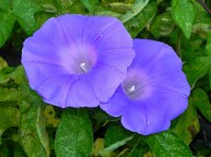 10-DSCN7425