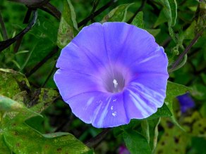 10-DSCN8417