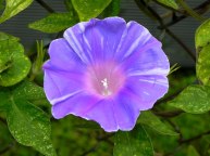 10-DSCN8776