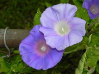 10-DSCN8777