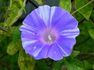 10-DSCN8952