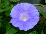 10-DSCN9743