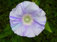 5-10-DSCN7598
