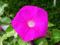 DSCN0803