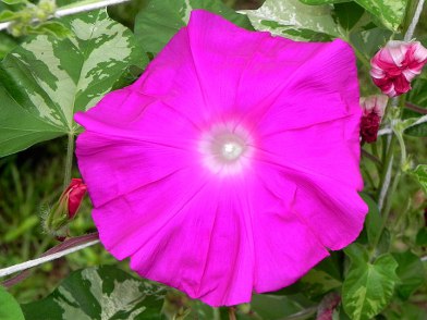 DSCN1148