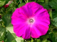 DSCN1705_01
