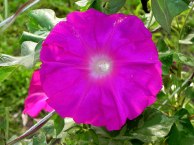 DSCN1706_01