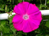 DSCN3581