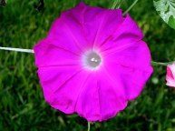 DSCN5792