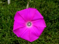 DSCN6613